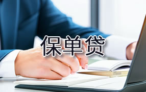 中卫保单贷