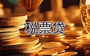 中卫税票贷
